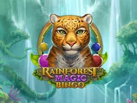 เกมสล็อต Rainforest Magic Bingo